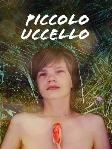  Piccolo uccello