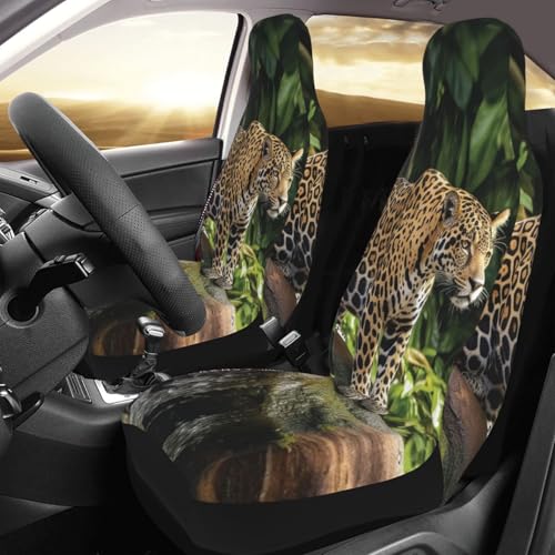 Housses de siège auto motif chat et cascade pour voyager confortablement en SUV et camionnette