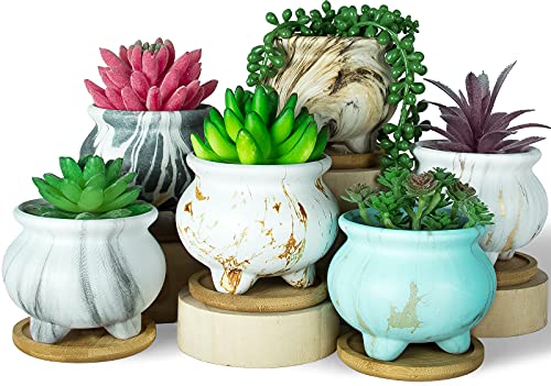 Succulent Pots, 3.8 Inch Small Succulent Planter Pots with Drainage Tray Marble Flower Pots Set of 6 Ceramic Pots for Indoor Plants, Succulents, Cactus