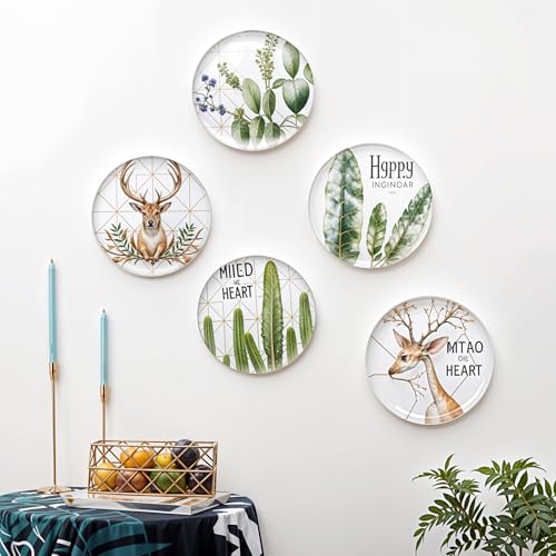 Image of Ptwola Wall Plate Hanger Display Holder Invisible Vertical Plate Holder Picture Adhesive Hooks Hanging Sticky Hanger for Home Kitchen Decorative Plastic Plates Photo Frame Wall Art (30)