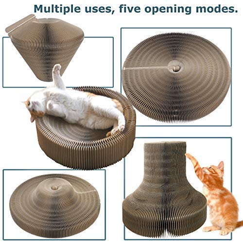 Sala multifuncional para cat Scratcher, almofada redonda dobrável com uma bola, o melhor lugar para