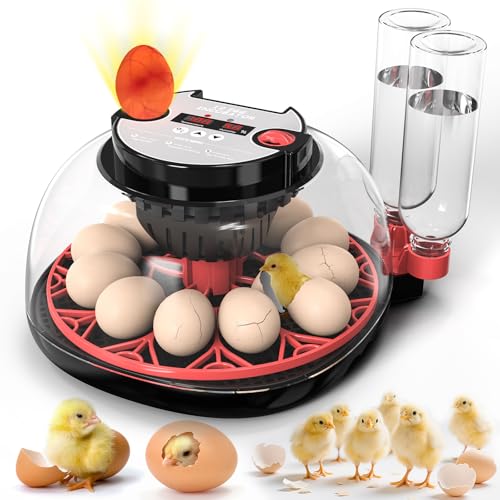 BESTECCT Incubators for Hatching Eggs,12 Egg Incubator...