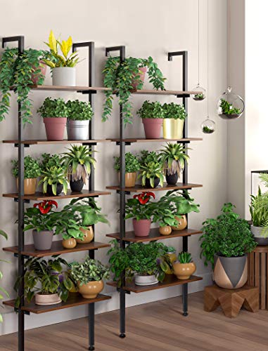 amzdeal Industrial Ladder Shelf, 5-Tier Bookshelf, Plant Stand,Rack Storage Shelves,Display Shelf,Stable Metal Frame,for Bathroom, Kitchen, Living Room,Balcony,Bedroom,Office