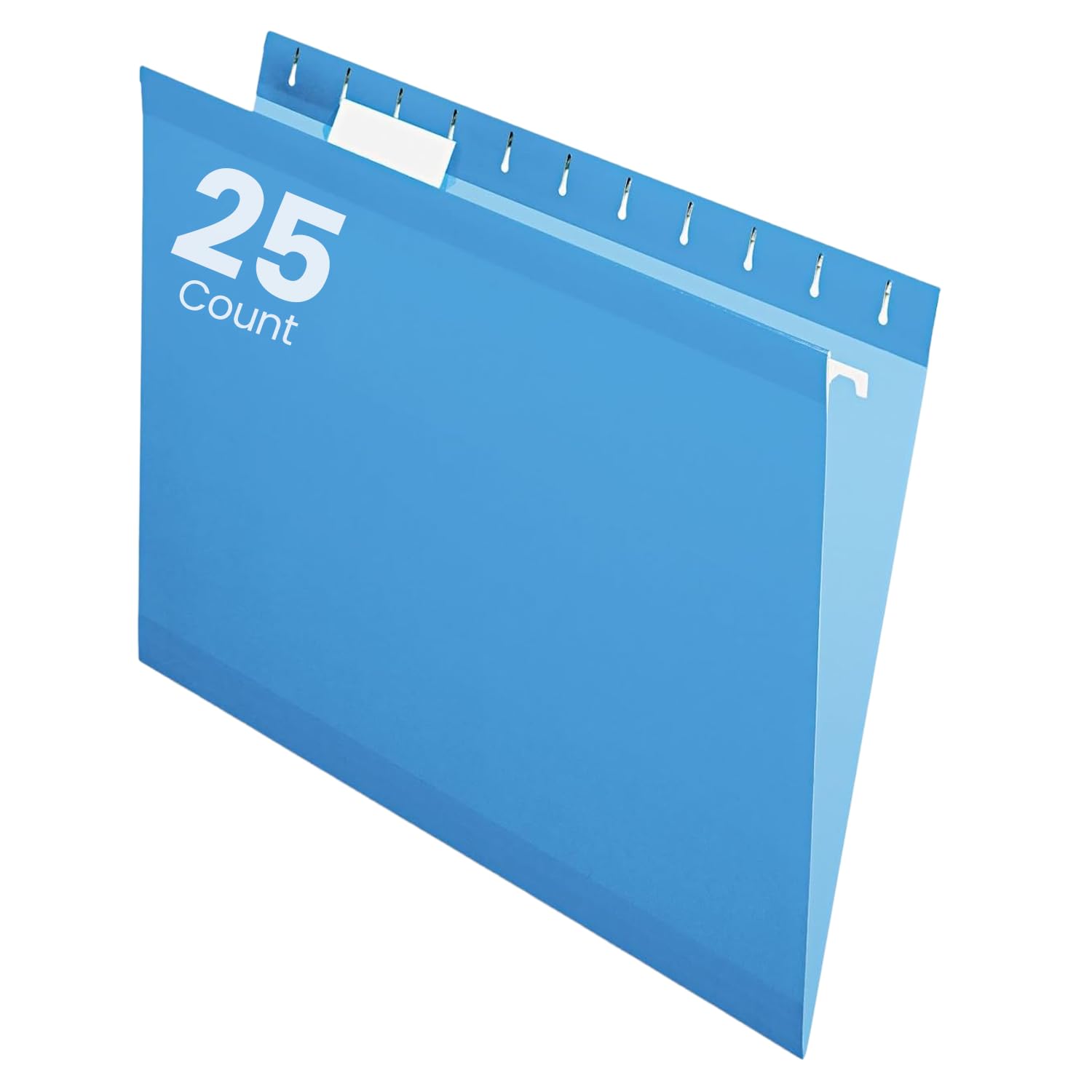 Amazon.com : Pendaflex Reinforced Hanging File Folders, Letter