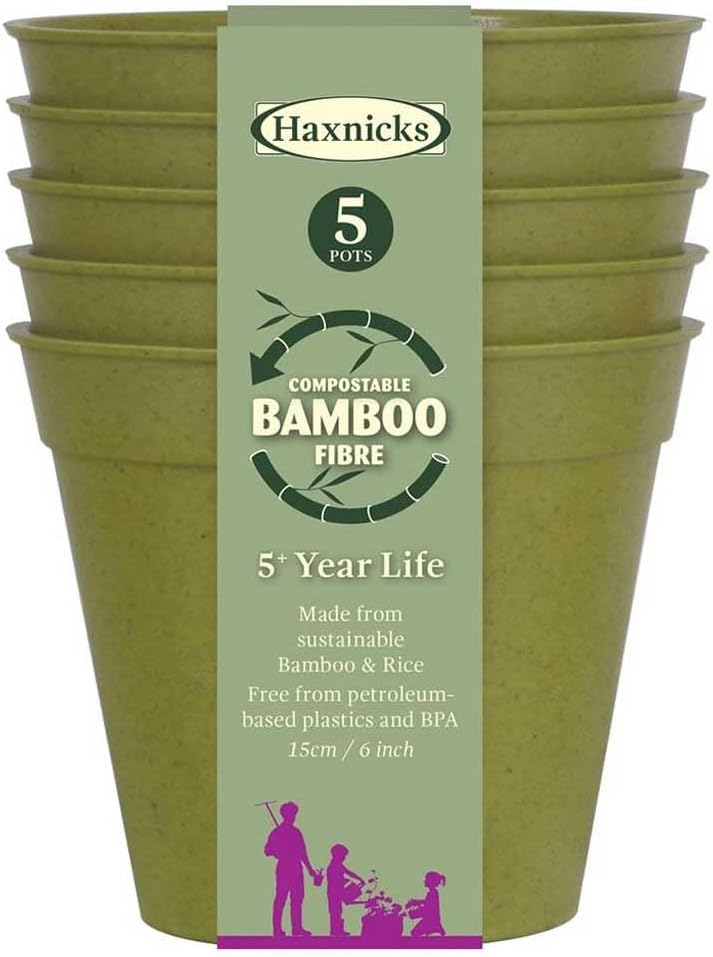 Tierra Garden - HAXNICKS 6" Green Bamboo Pot (5-Pack)