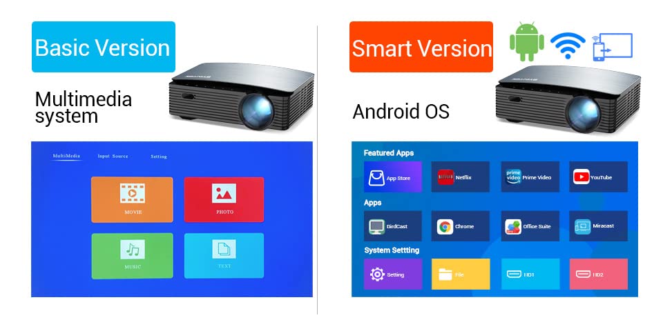 Basic vs Smart Version Interface