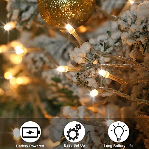 Qedertek Luci Natalizie a Batteria da Esterno, Catena Luminosa 10M 100 LED, Cavo Trasparente, Funzione di Timer con telecomando, Luci Stringa per Albero di Natale, Luci Bianco Caldo Addobbi Natale