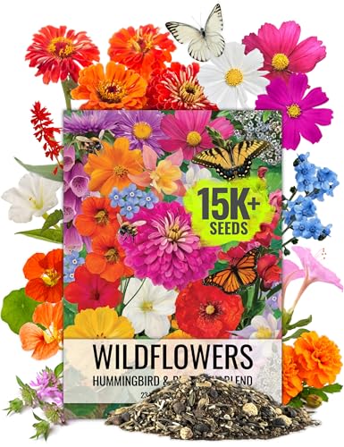 Seed Needs Flower Seeds Hummingbird and Butterfly Seed Mix 1 Ounc...