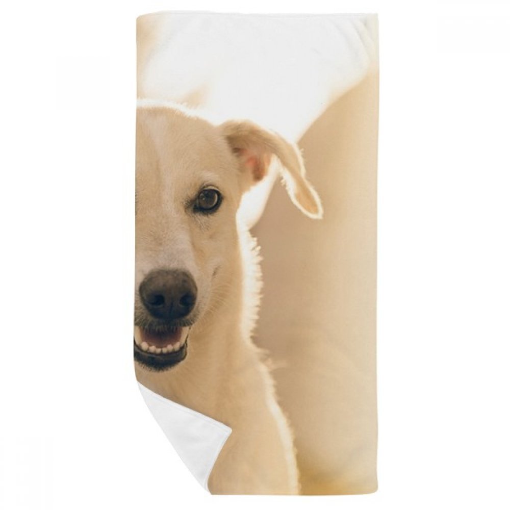 Serviette de bain motif chien smile 35x70cm multicolore