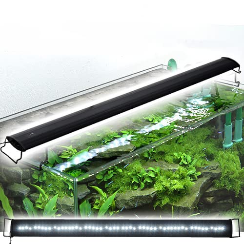 アクロ OVALブラック LED 1200 6500lm BRIGHT Aqullo 120cm水槽用 沖縄別途送料