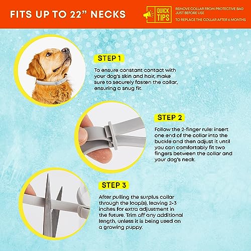 image for ProElobara Flea and Tick Prevention Collars for Dogs: Effective Pet Fl
