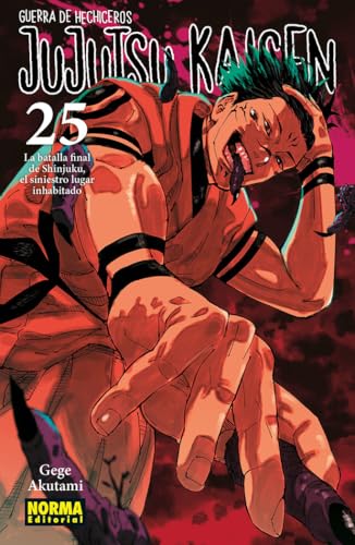 JUJUTSU KAISEN 25 – Action Manga