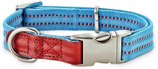 Reddy Cerulean Blue Webbed Dog Collar, Small
