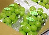 長野県産 生産農家直送 露地栽培 訳ありブドウ 「シャインマスカット」 ご家庭用に! 自家用ランク 約2~2.2kg前後(3~6房入り)/箱