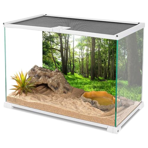 Tierra Y Fertilizantes, Personal Care Appliances Imagen adicional