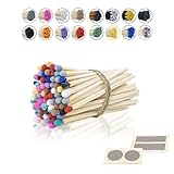 3” Inch Long Wooden Refill Matchsticks with Strike Stickers - Safety Matches Wholesale Bulk Loose by Chandler Studio (Rainbow, 50 Pieces)