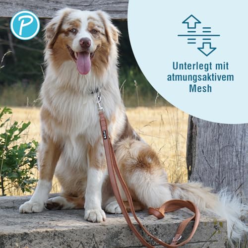 Petlando Hundeleine 3m Mesh, weich gepolstert, atmungsaktiv, leicht & robust, Führleine 3 Fach verstellbar mit Karabiner, Freihandleine, Umhängeleine, Leine für mittelgroße Hunde, Cognac 300x2,5cm