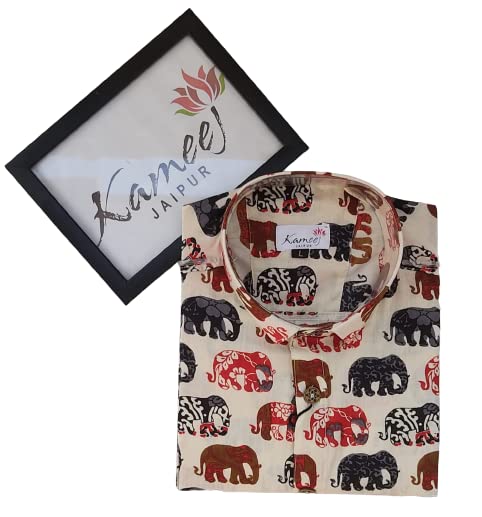 GenericKameej Jaipur Men's Cotton Sanganeri Print Casual Shirt (Multicolor)