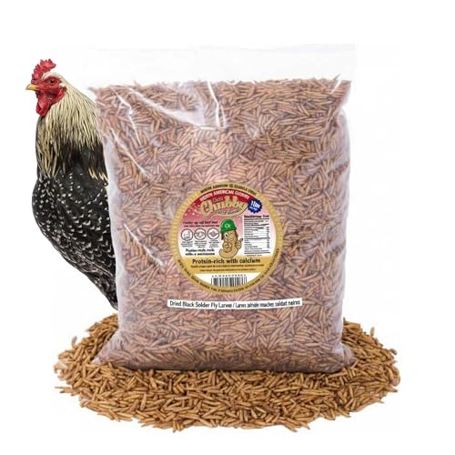 Chubby Canadian Grown Dried Black Soldier Fly Larvae | 11 lb | High-Calcium Non-GMO Dried Insects for Chickens & Wild Birds – Premium Protein Treat