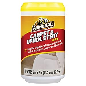Armor All Carpet & Upholstery Wipes (12 count), 17218G
