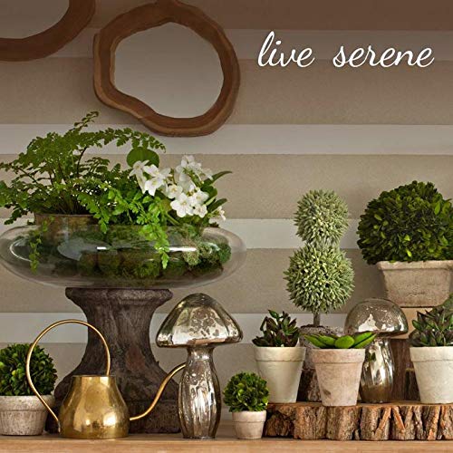 Serene Spaces Living SSLD1018L30GNSFS Olive Green Bottleneck Glass Vase thumb #6