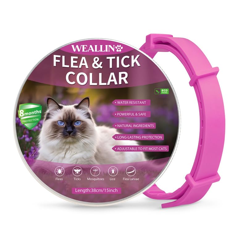 Collare Antipulci Naturale Per Gatti - Effetto 12 Mesi | Impermeabile E Regolabile 48 Cm | Sicuro E Non Tossico