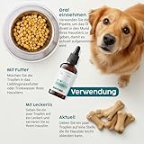 Zanipro Baldrian Beruhigung Tropfen für Hunde – Natürliche Hund Beruhigung bei Angst & Stress, Beruhigungstropfen Hund mit Baldrian & Helmkraut, Anti-Stress bei Silvester, Autofahrt & Trennung | 50 ml