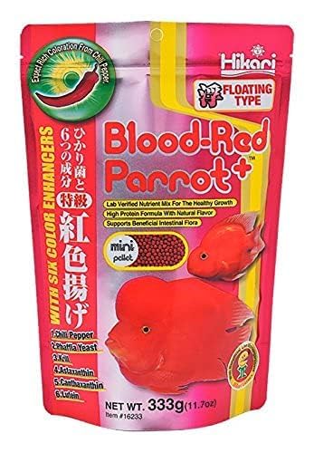 See full amazon price history chart for (India pet Shop) Hikari Blood Red Parrot (Mini) 333g, Floating Pellet Type Fish Food (India pet Shop) Hikari Blood Red Parrot (Mini) 333g, Floating Pellet Type Fish Food (B0D7SRB74Z) Amazon Price History, Amazon Price Tracker