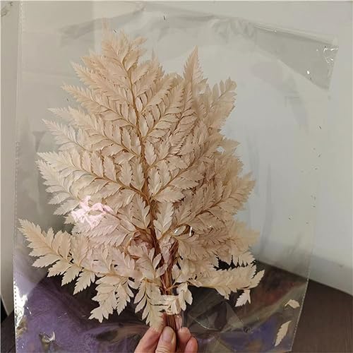 10pcs Flores Secas Naturales para Decoración miniatura 3