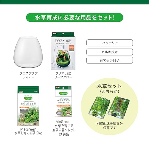 ジェックス MeGreen 新鮮な水草付き グラスアクアティアーセット の商品画像 5