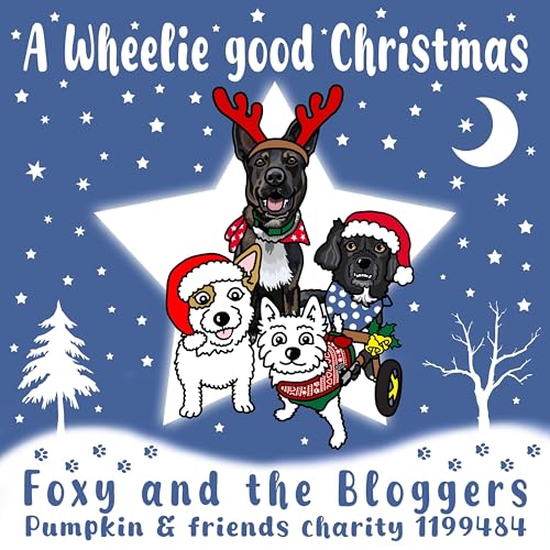 Foxy and the Bloggers