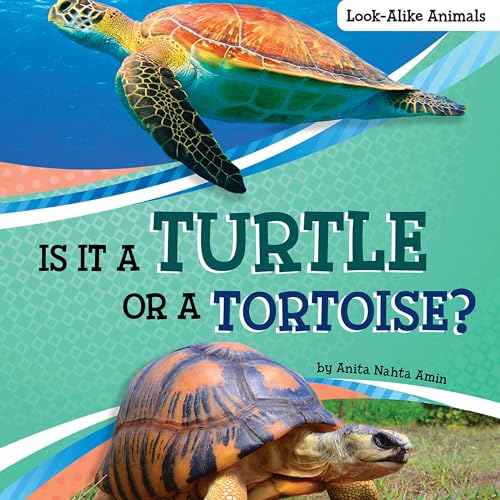 Listen to Is It a Turtle or a Tortoise? by Anita Nahta Amin episode artwork