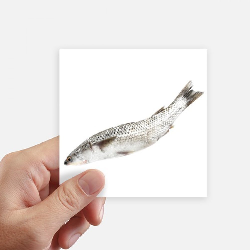 Poisson Frais autocollant 10cm et sticker décoratif pour personnalisation de bagage
