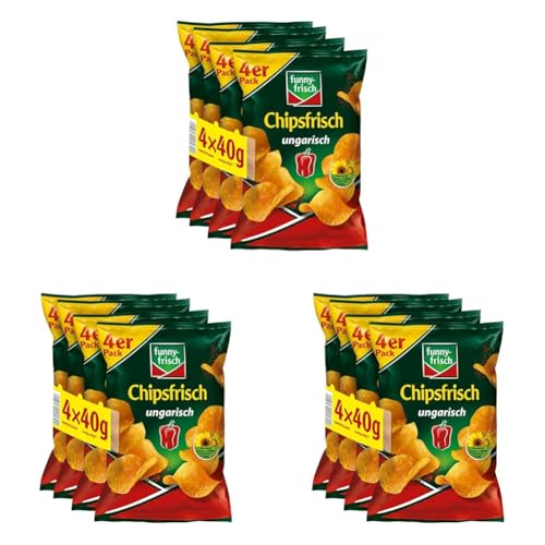 funny-frisch Chipsfrisch ungarisch Multipack, 4 x 40 g (Packung mit 3)