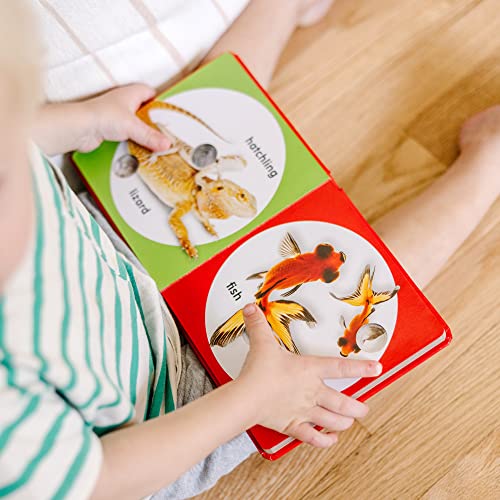 Melissa & Doug Children’s Book – Poke-A-Dot: Pet Families (Board Book With Buttons To Pop) #TOP4