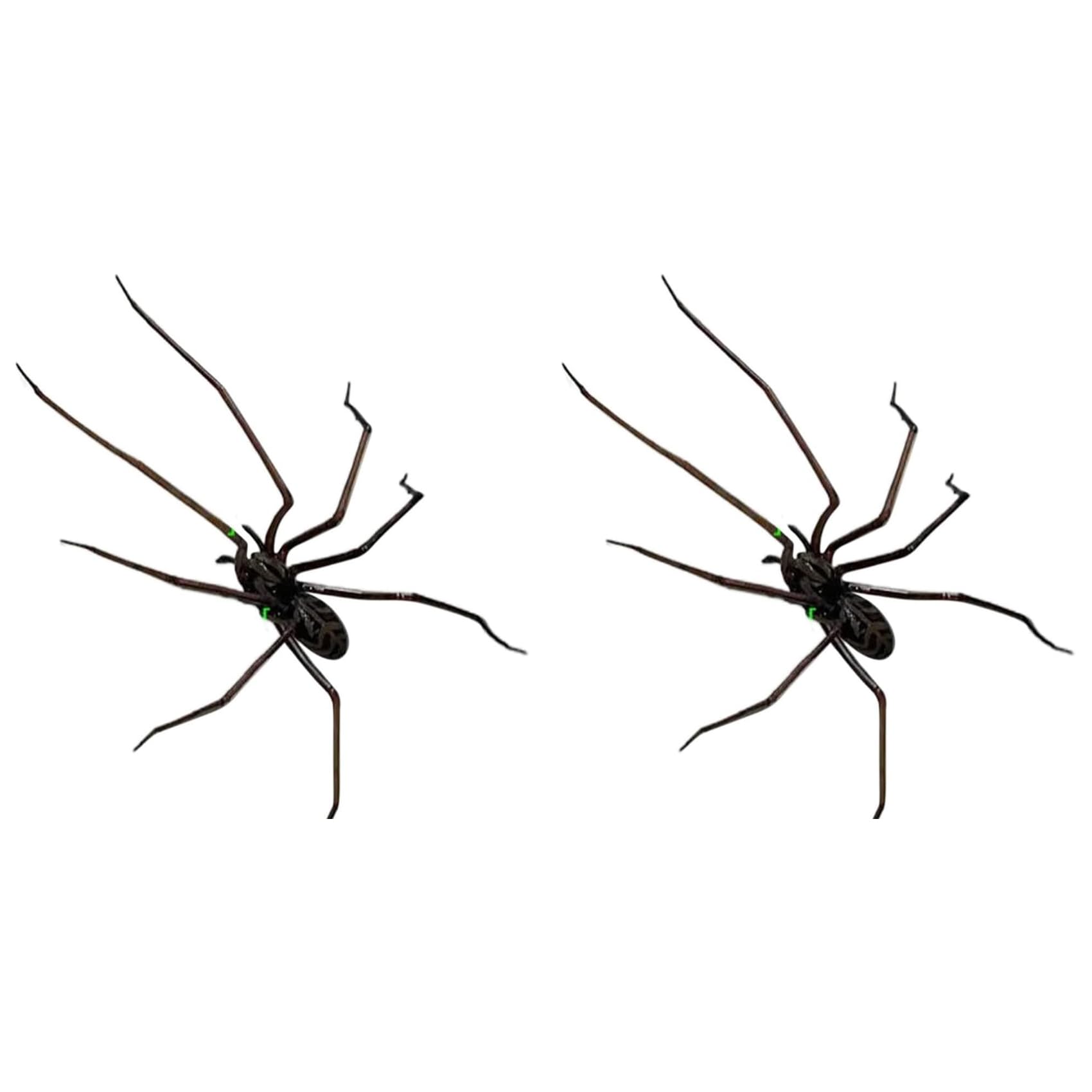Hndhbfgrt 2X Spider Fridge Magnet, Realistic Spider Magnets, Cute Spiders Design Decorations for Refrigerator, Garage Door, A
