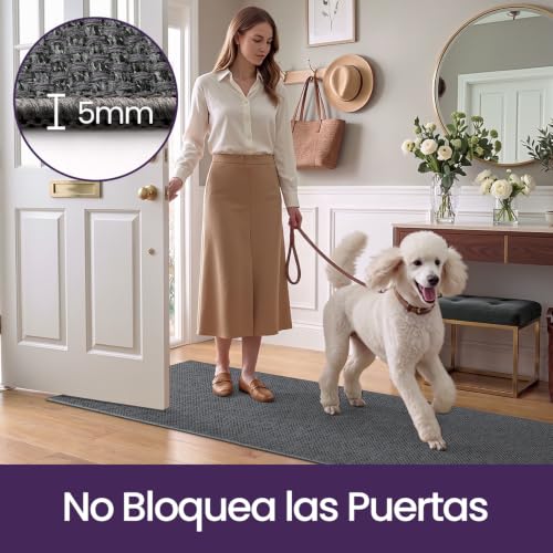 Alfombra pasillo 80 x 250 cm DEXI lavable y gris oscuro 8
