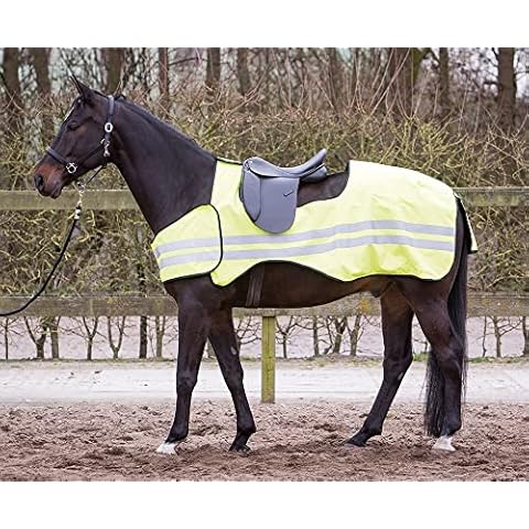 Manta Reflectante para equitación Harry's Horse Cover