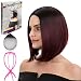 Emmet Short Bob Wig 12" Shoulder Length Soft Silk Synthetic Kanekalon Dark Roots Ombre Color Women’s Wigs with Free Wig Cap & Free Wig Stand Holder & Free Ebook (Black & Burgundy)