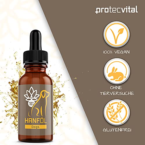 Protecvital Premium Hanföl für Hunde - 10ml Hanfsamenöl Tropfen - 10% Hanfextrakt - Barf Hanföl beruhigend - Vitalöl für… – Bild 3