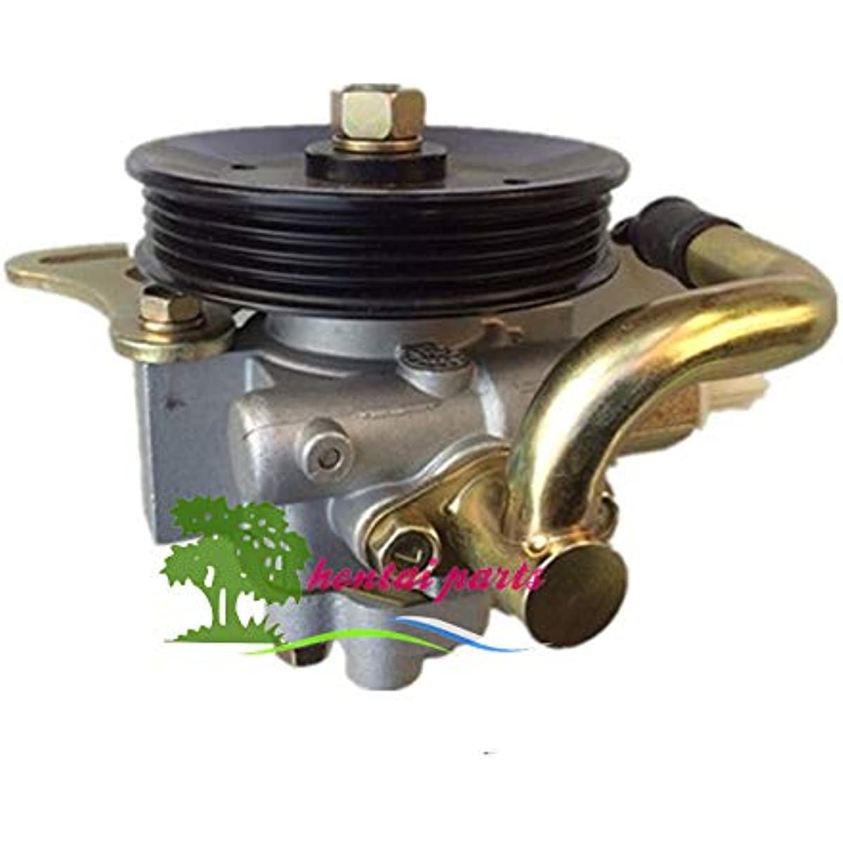 Amazon.com: Power Steering Pump 96527786 96316289 96315612 