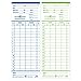 Pyramid Time Systems 42426 Genuine and Authentic Double Sided Time Cards built exclusively for 2400 and AT-2400 Time Clocks (Pack of 100), Punch clock employee timecards