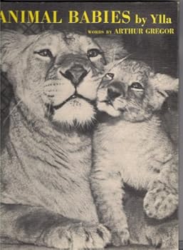 Hardcover Animal Babies Book