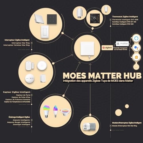 Passerelle Zigbee Matter connectée pour piloter votre maison avec Apple Homekit - 4