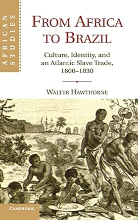 From Africa to Brazil: Culture, Identity, and an Atlantic Slave Trade, 1600–1830: 113 book cover