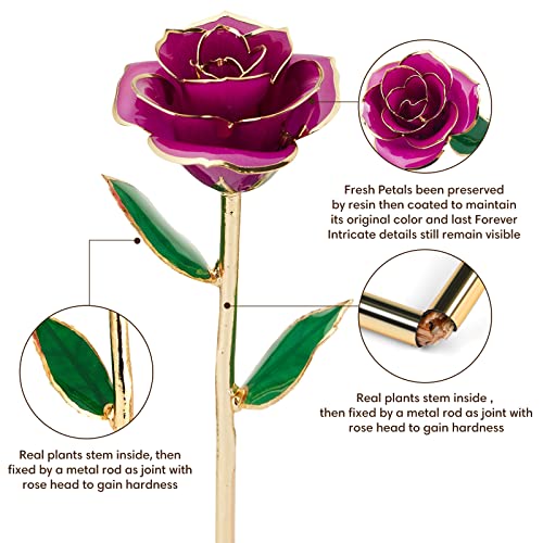 Image of Anthonic Gold Dipped Infinity Rose Last Forever Flower Decor, Birthday Gift for Women in Her Birthday Valentines Day Mothers Day, Resin Preserved Rose | Anniversary Present for Mom (Purple)