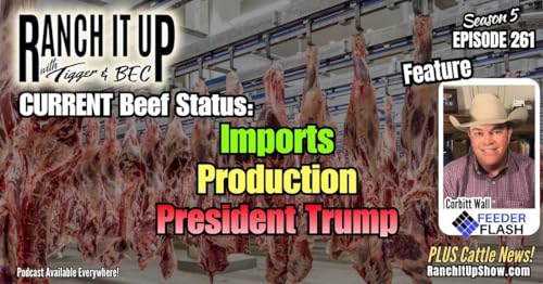 Current Beef Market: Imports, Production, Trump Podcast Por  arte de portada