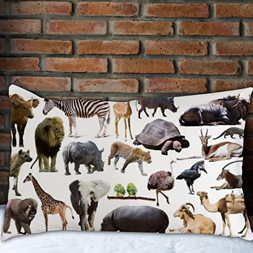 Xollar Pillowcases Queen Size 20 X 30 In Set Of 2, African Animals Set Bed Pillow Case Pillow Sham Protector Cover For Bed Sofa Zipper Closure #TOP5