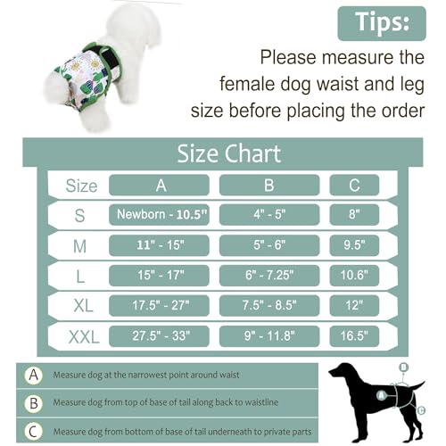 Image of Washable Female Dog Diapers - Premium Reusable Diapers for Doggie in Heat - Highly Absorbent Dog Diapers Female for Pet Incontinence with Adjustable Snaps (Cactus,S)