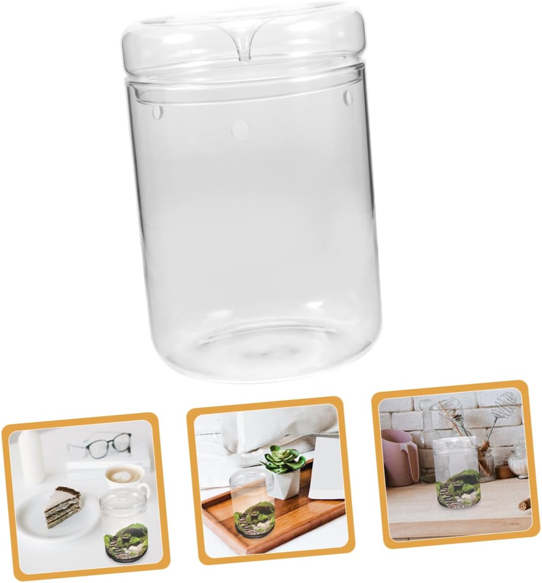 Micro-Landscape DIY Bottle Glass Planter for House Plant Hydroponic Vase Plant Terrarium Glass Lid Desktop Decor